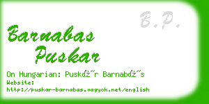 barnabas puskar business card